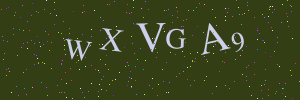 Validation image